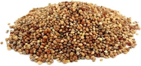 500g Mixed Millets Finch Seed Cage Bird Food Sjj Uk Pet