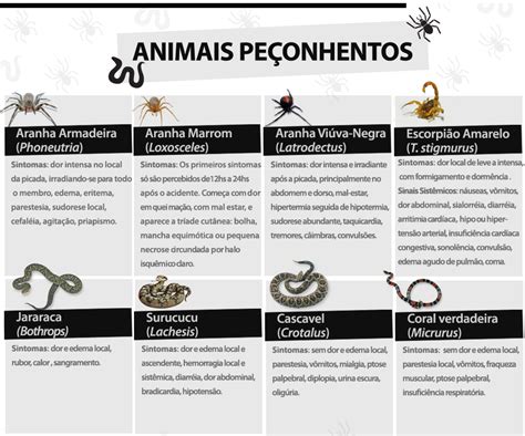 Ser Refor Ado Atendimento A Acidentes Animais Pe Onhentos Pr