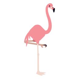 Design Png E Svg De Bico Flamingo Rosa Bico Arredondado Para Camisetas