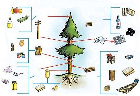 Transformacion Recursos Naturales On Emaze