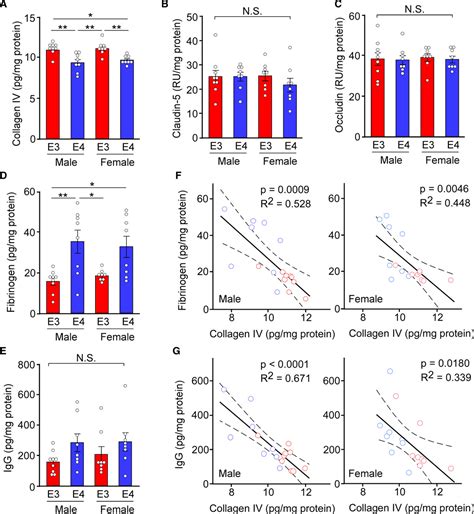 Apoe Apolipoprotein E In Brain Pericytes Regulates Endothelial Function In An Isoform