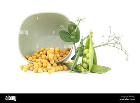 Dried Yellow Peas Spilling Out From Bowl And Fresh Garden Peas Pods