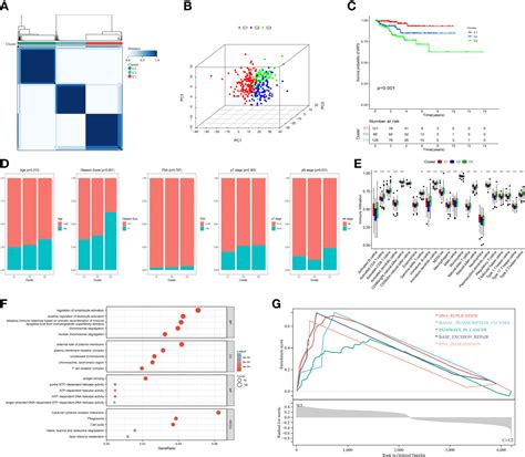 Frontiers Multi Omics Analysis Reveals A Macrophage Related Marker