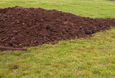 Topsoil Stock Photos Pictures And Royalty Free Images Istock