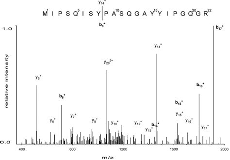 LC ESI MS Spectrum Of Peptide 5C2 In Band 3 Fragmentation Analysis Of