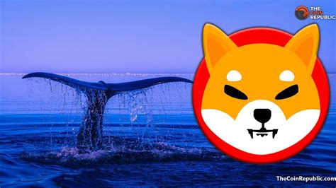 A Crypto Whale Bought 100 Billion SHIB Token The Coin Republic