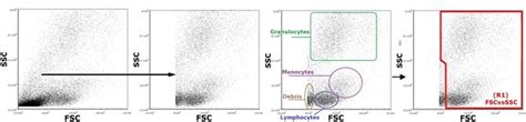 Considerations For Facs Gating Stemcell Technologies