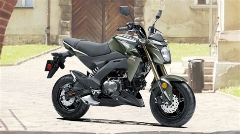 Kawasaki Z125 Pro Motorcycle