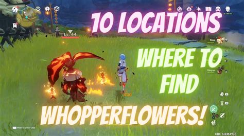 Genshin Impact Whopperflower Locations Mondstadt And Liyue YouTube