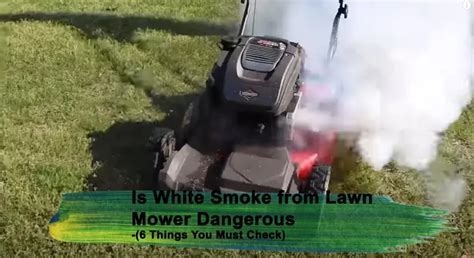 Is White Smoke From Lawn Mower Dangerous Things You Must Check