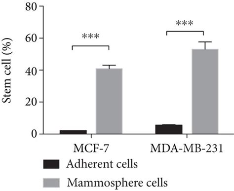 Mammosphere Culture Could Enrich Bcscs A The Microstructure Of Download Scientific Diagram