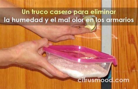 Un Truco Casero Para Eliminar La Humedad Y El Mal Olor En Los Armarios Deshumidificador Casero