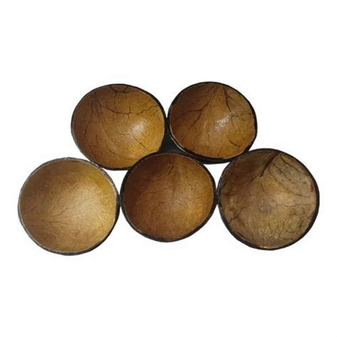 Ez Farmland Polished Coconut Shell Available In Sizes Decorative