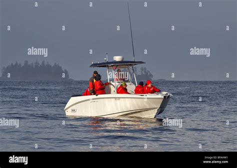 Whale watching near Tofino, Vancouver Island, British Columbia Stock ...