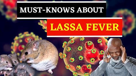 Unbelievable Facts About Lassa Fever You Never Knew Lassafever Youtube