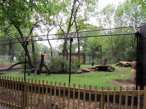 Topeka Zoo 2011 - African Lion Exhibit - ZooChat