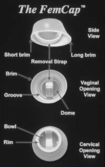 Use And Effectiveness Of Barrier And Spermicidal Contraceptive Methods