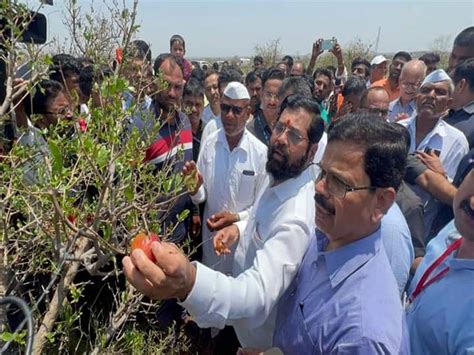 Chief Minister Eknath Shinde Inspects The Unseasonal Rain Affected Area