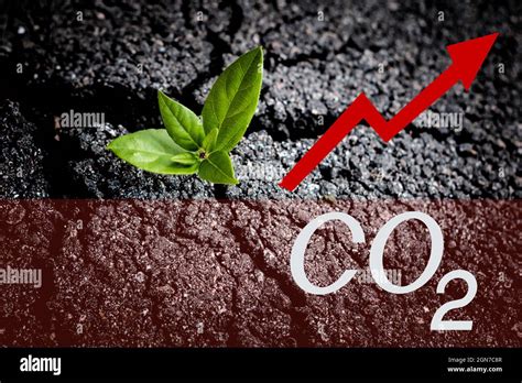 Aumento Del Nivel De Dióxido De Carbono Concepto De Catástrofe Ecológica Y Calentamiento Global