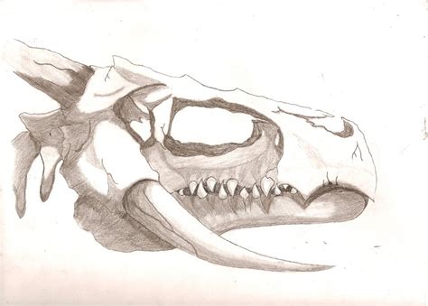 Dragon Skull Drawing at GetDrawings | Free download