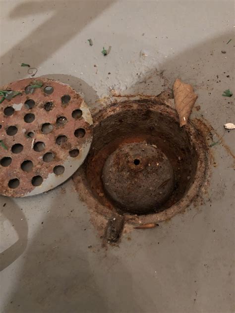 Drain In My Basement House Is From The 50s Lifted The Grate Strange