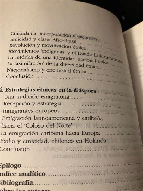 Etnicidad Como Estrategia En America Latina Y El Ubuy India