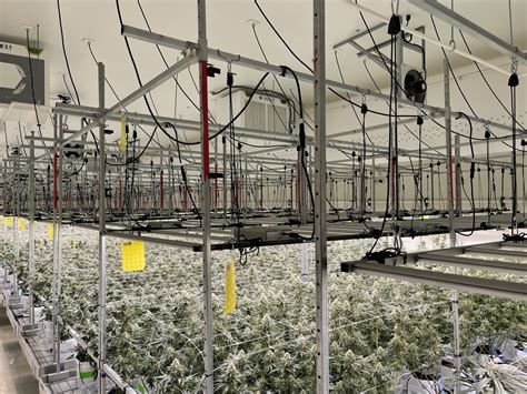 Real Estate Cannabis Investment Firms Innovative Industrial Properties