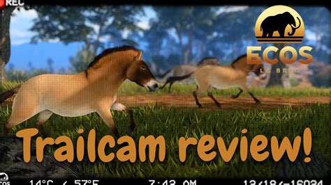 Ecos La Brea TRAILCAM REVIEW Ecos La Brea YouTube