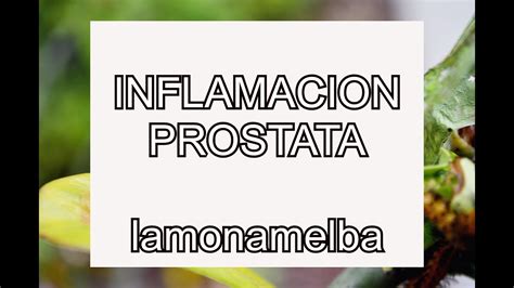 Como Desinflamar La Prostata Con Este Remedio Casero 100 Natural