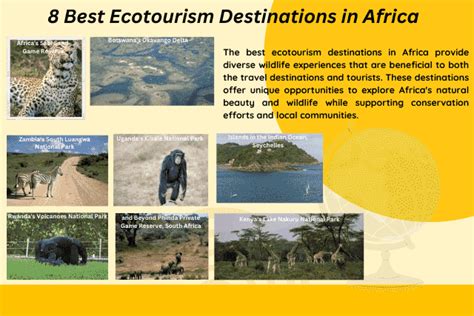 8 Best Ecotourism Destinations in Africa