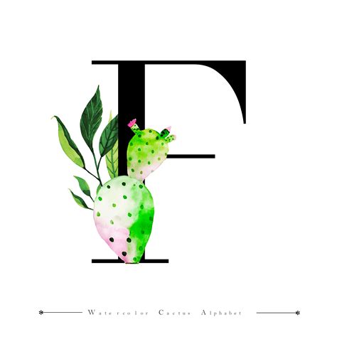 Alphabet Letter F With Watercolor Cactus And Leaves Vector Art