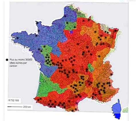 les quatre phases de dispersion du loup en france observatoire du loup