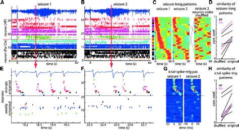 Consistency of neuronal firing patterns on multiple time scales across ...