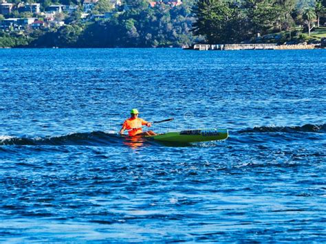 Recreational Kayaker On Sydney Harbour Australia Editorial Stock Image