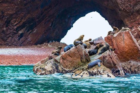 Que Hacer En Perú Las 15 Mejores Atracciones Que Ver