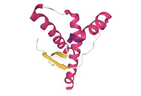amino acid chain stock  pictures royalty  images istock