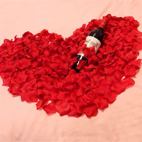 Willstar 3000Pcs Romantic Silk Rose Petals for Wedding Decoration ...