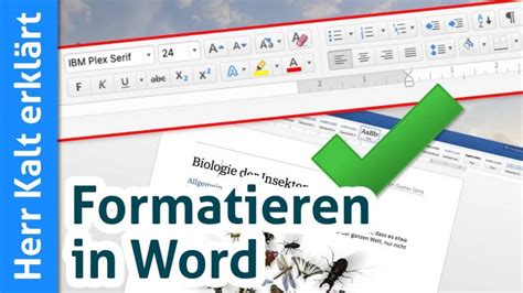 Word Dokument Richtig Formatieren