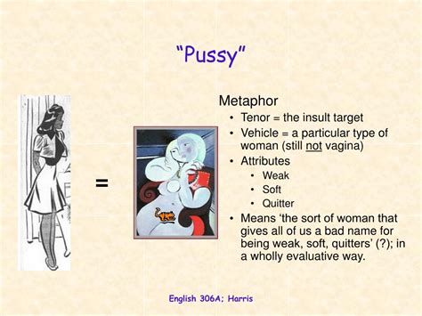 O Q Significa Pussy Fdplearn