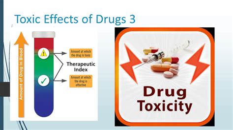 Solution 3 Toxic Effects Of Drugs 2 Studypool