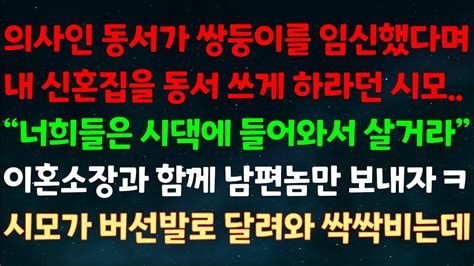 실화사연 의사 동서가 쌍둥이 임신했다며 내 신혼집을 동서 쓰게 한 시모 너희들은 시댁에 들어와서 살거라 이혼소장과 함께