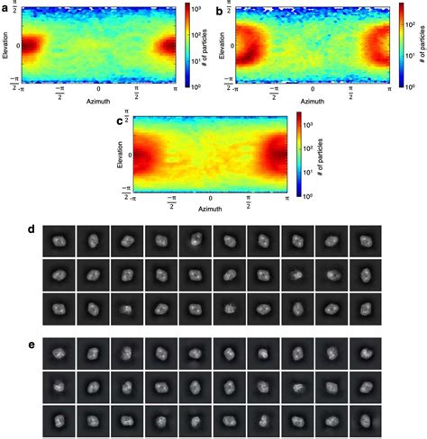 Cryo Em Data Collection From 0° 20° And 40° Tilted Specimens And Image