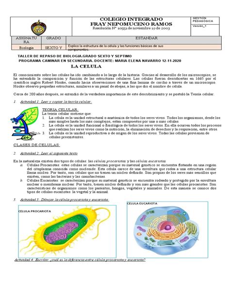 Taller De Biologia Grado Sexto Y Septimo Caminar En Secundaria Pdf Citoplasma Biología