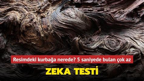 Resimdeki Kurba Ay G Renler Zeki Ki Ilik Testi Ger Ekleri S Yl Yor