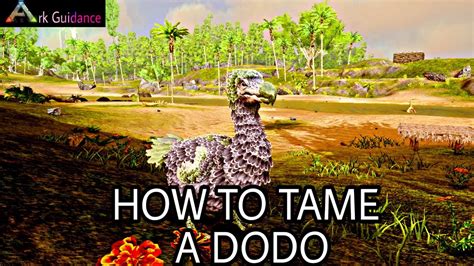 How To Tame A Dodo In Ark Mobile Youtube