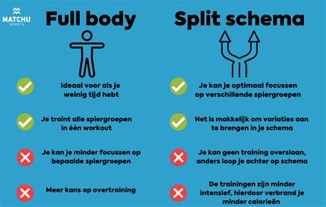 Lees Welke Spiergroepen Je Samen Moet Trainen Voor Het Beste Resultaat