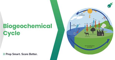 Biogeochemical Cycles : UPSC Exams