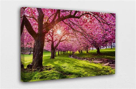 Cherry Blossom Tree Canvas Wall Art Design Poster Print Decor for Home ...