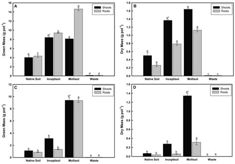 Green Biomass A And Dry Biomass B Production Of The Shoots And