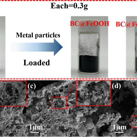 A Photographs Of BC BC FeOOH And BC FeOOH Cu2O 0 3 G SEM Images Of